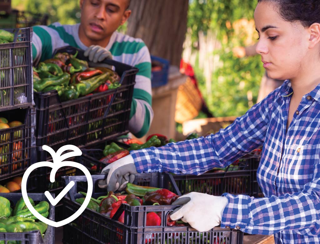 Food Safety and Production Regulations